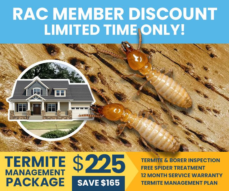 termico-rac-member-termite-management-package.jpg