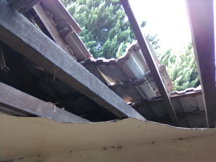 Termite Damaged Roof.jpg